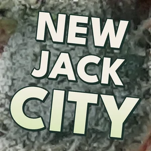 New Jack City Cannabis Strain