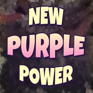 New Purple Power Cannabis Strain