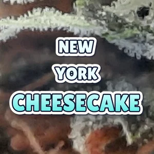 New York Cheesecake Cannabis Strain