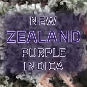 New Zealand Purple Indica Cannabis Strain