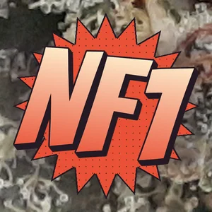 NF1 Cannabis Strain