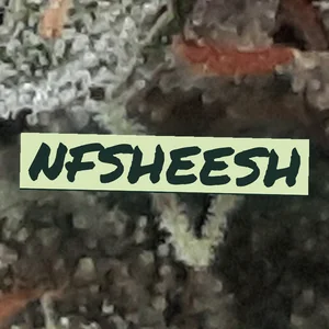 NFSheesh Cannabis Strain