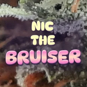 Nic the Bruiser Cannabis Strain