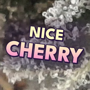 Nice Cherry Cannabis Strain