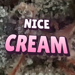 Nice Cream Cannabis Strain