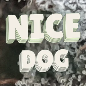 Nice Dog Cannabis Strain