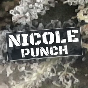 Nicole Punch Cannabis Strain