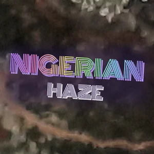 Nigerian Haze Cannabis Strain