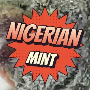 Nigerian Mint Cannabis Strain
