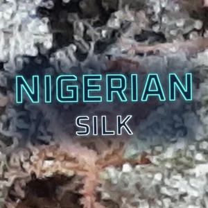 Nigerian Silk Cannabis Strain