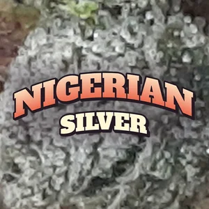 Nigerian Silver Cannabis Strain
