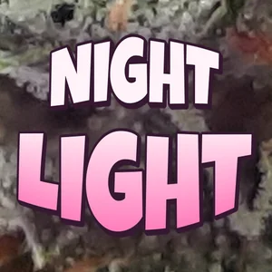 Night Light Cannabis Strain