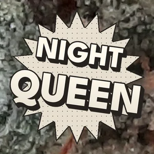 Night Queen Cannabis Strain