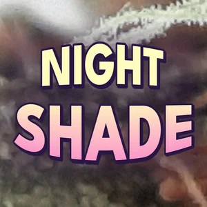 Night Shade Cannabis Strain