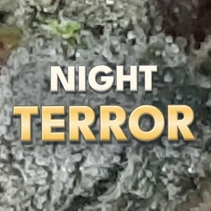 Night Terror Cannabis Strain