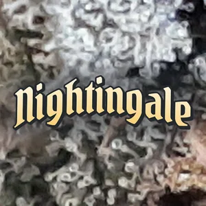 Nightingale Cannabis Strain