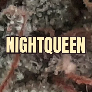 Nightqueen Cannabis Strain