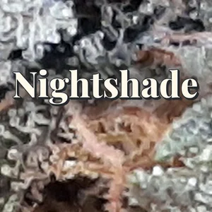 Nightshade Cannabis Strain