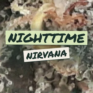 Nighttime Nirvana Cannabis Strain