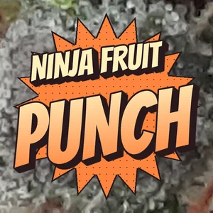 Ninja Fruit Punch Cannabis Strain