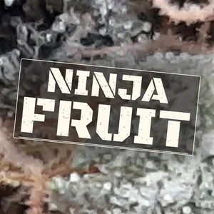 Ninja Fruit Cannabis Strain