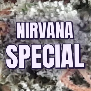 Nirvana Special Cannabis Strain
