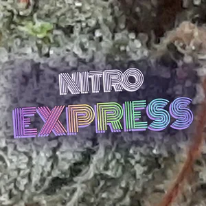 Nitro Express Cannabis Strain