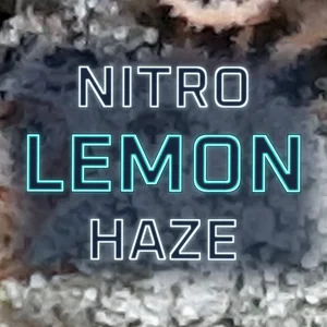Nitro Lemon Haze Cannabis Strain