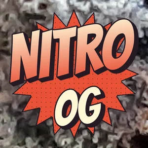 Nitro OG Cannabis Strain