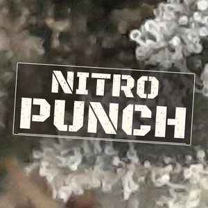 Nitro Punch Cannabis Strain