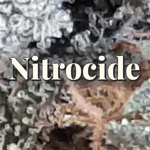 Nitrocide Cannabis Strain