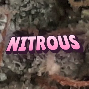 Nitrous Cannabis Strain