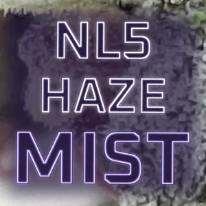 NL5 Haze Mist Cannabis Strain