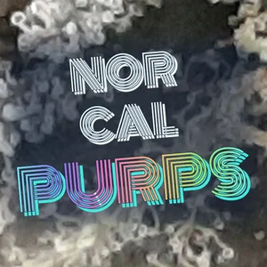 Nor Cal Purps Cannabis Strain