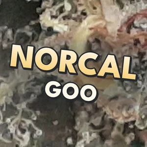 NorCal Goo Cannabis Strain