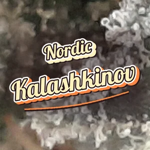 Nordic Kalashkinov Cannabis Strain