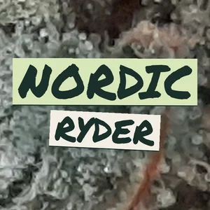 Nordic Ryder Cannabis Strain