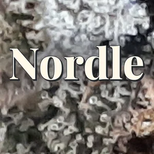 Nordle Cannabis Strain