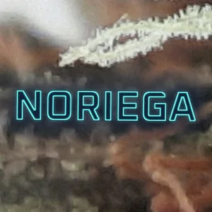 Noriega Cannabis Strain