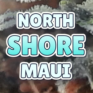 North Shore Maui Cannabis Strain