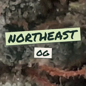 Northeast OG Cannabis Strain