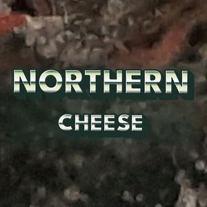 Northern Cheese Cannabis Strain
