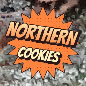 Northern Cookies Cannabis Strain