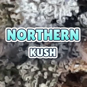 Northern Kush Cannabis Strain