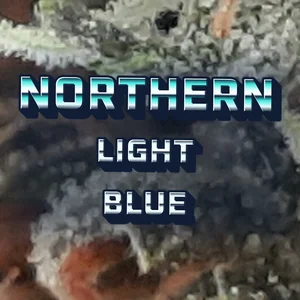 Northern Light Blue Cannabis Strain