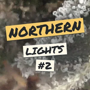 Northern Lights #2 Cannabis Strain