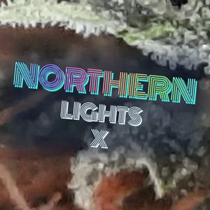Northern Lights X Cannabis Strain