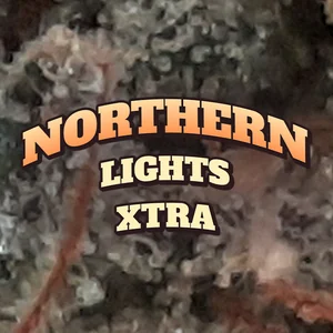 Northern Lights Xtra Cannabis Strain