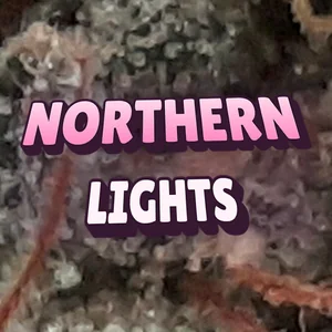 Northern Lights Cannabis Strain