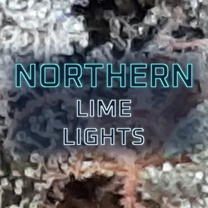 Northern Lime Lights Cannabis Strain